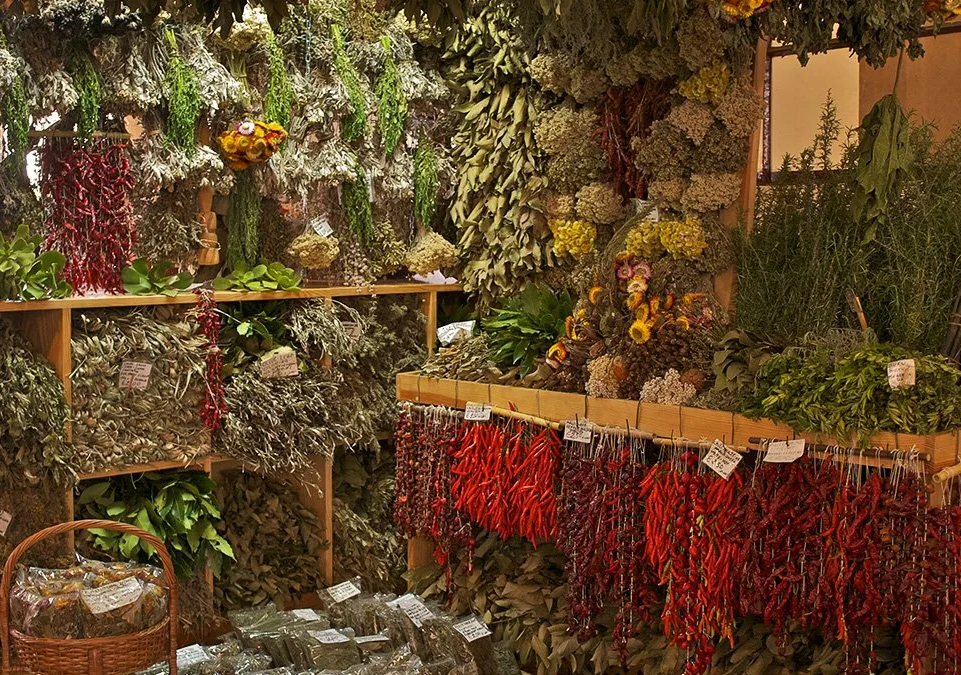 Selection of mountain herbs and spices on rustic tasting table
